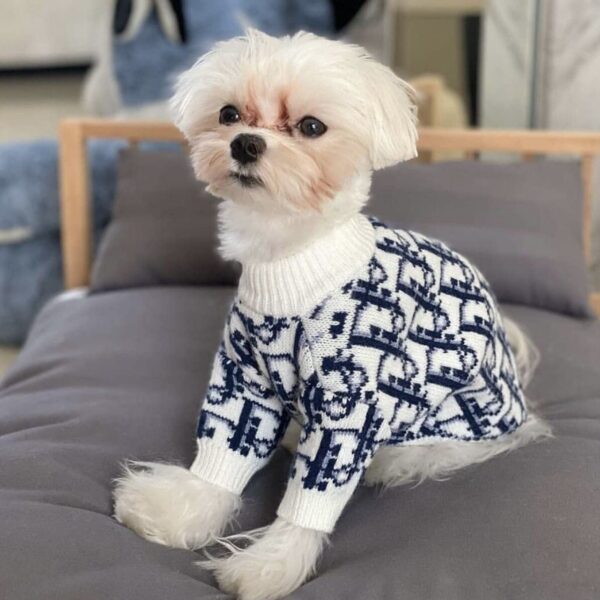 New 2021 Dog Pattern Sweater - Image 5