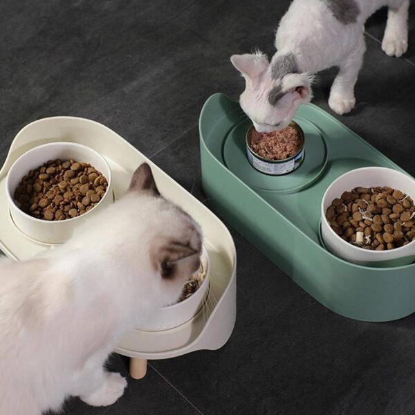 Dual Feeding Cat Bowls