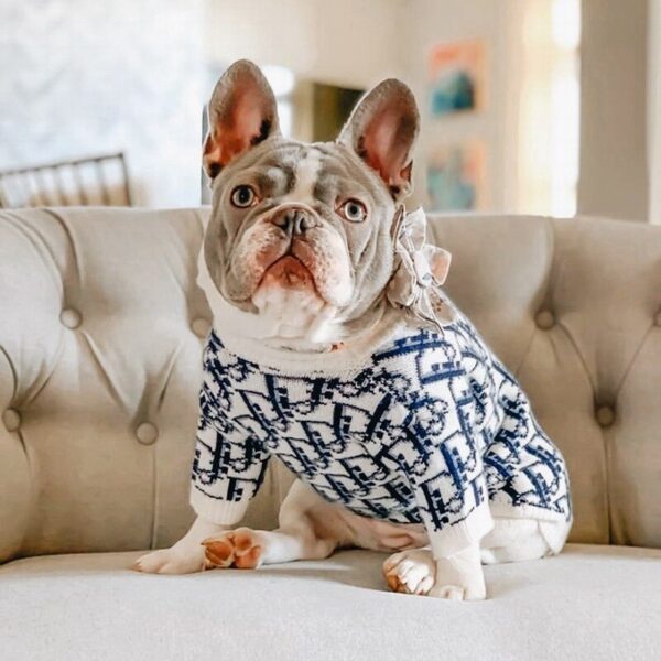 New 2021 Dog Pattern Sweater - Image 4