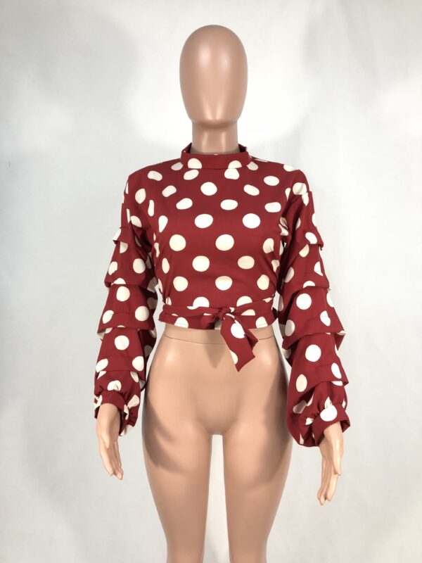 Polka Dot Blouse - Image 5