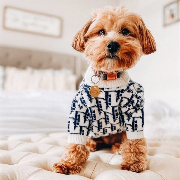 New 2021 Dog Pattern Sweater