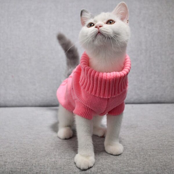 Cat Sweater Pullover