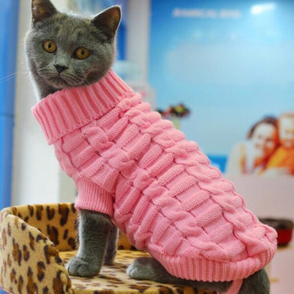 Cat Sweater Pullover - Image 6