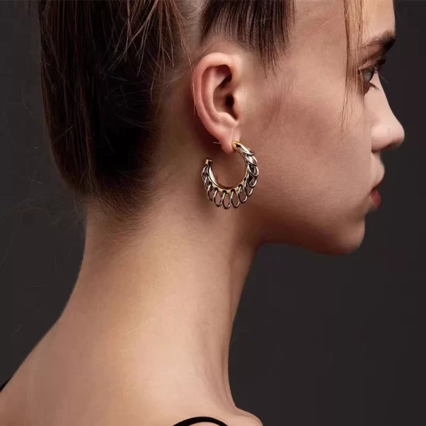 kshmir Beautiful earrings, exaggerated long tassels, fashionable and simple earrings, high-end and elegant chain accessories - Image 4