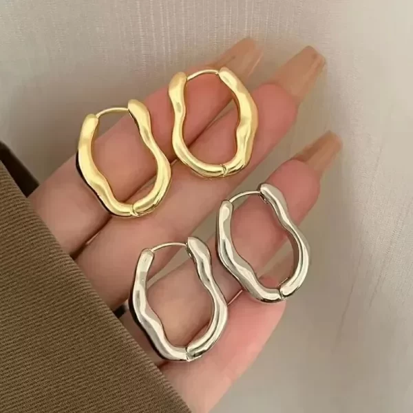 Vintage Irregular Hoop Earrings for Women Fashion Silver Plated Stainless Steel Earring Korean Trendy Jewelry Gifts Wholesale - Image 2