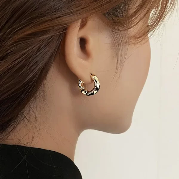 XINYI New Hot Sell Trendy 925 Sterling Silver Circle Earrings for Women Real Silver Ear Hoop Earrings - Image 4